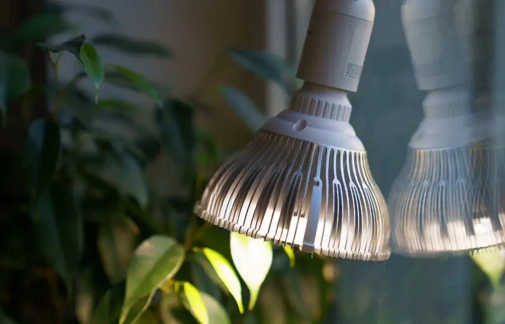 Nahaufnahme einer Vollspektrum-LED-Pflanzenlampe im Einsatz in einem Zuhause