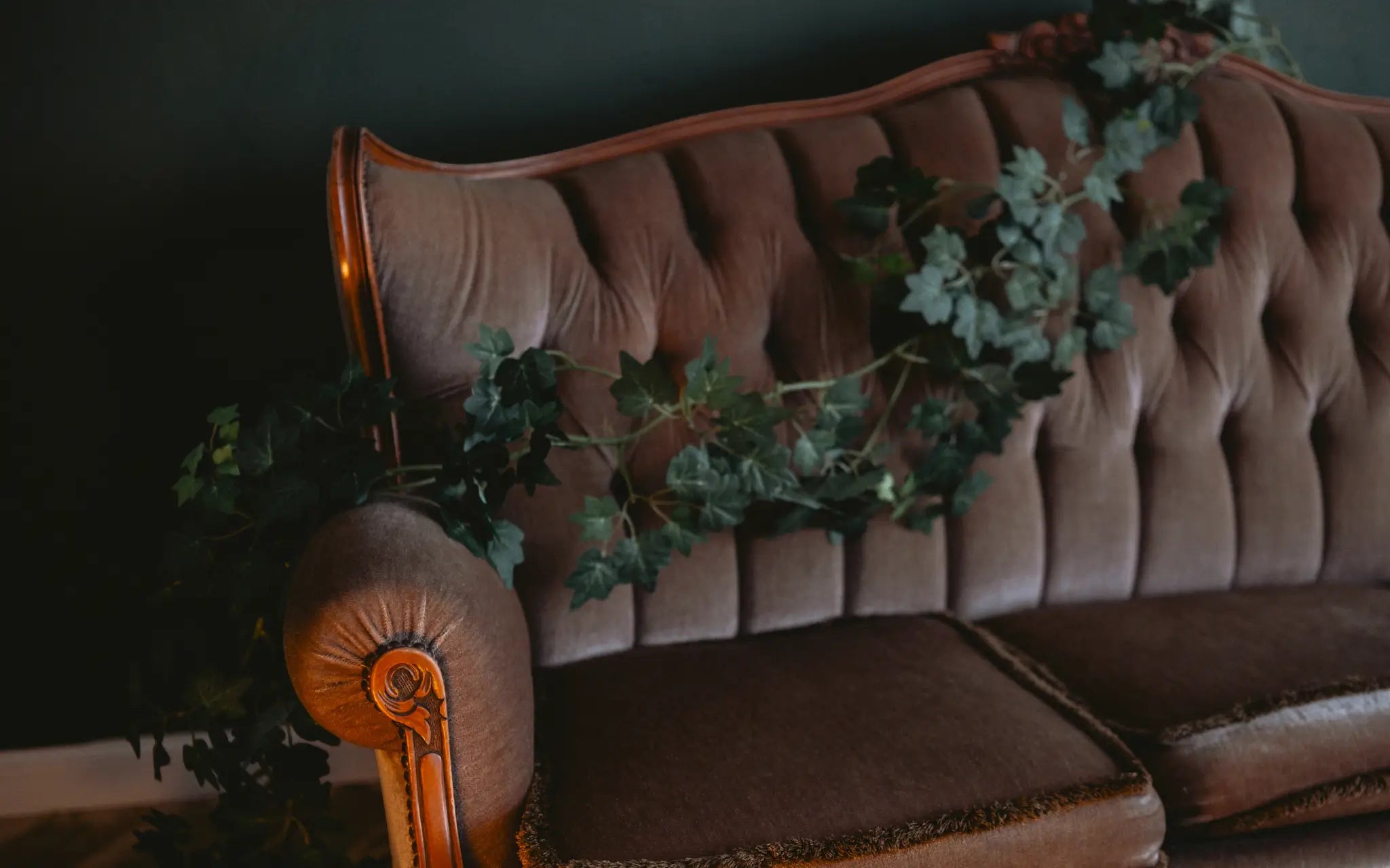 Soft light, calm tone â the fantasy of âlow-light plantsâ looks inviting, but without enough photons, even ivy slows down. Vintage sofa with tufted upholstery decorated with ivy leaves in low indoor light, illustrating low-light houseplant aesthetics.