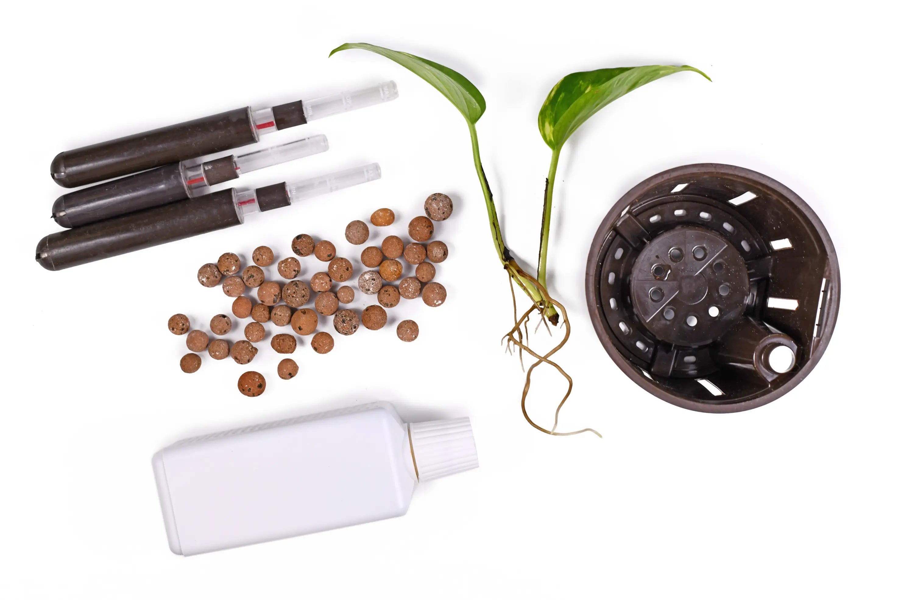 Epipremnum aureum Steckling, Blähton, Selbstbewässerungstopf, Wasserstandsanzeiger und Flüssigdünger auf weißem Hintergrund