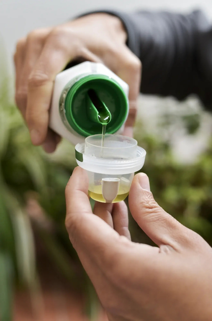 Close-up of hands measuring liquid houseplant fertilizer - Liquid fertilizer lets you control dosage and timing — ideal for semi-hydro setups and fast growers.