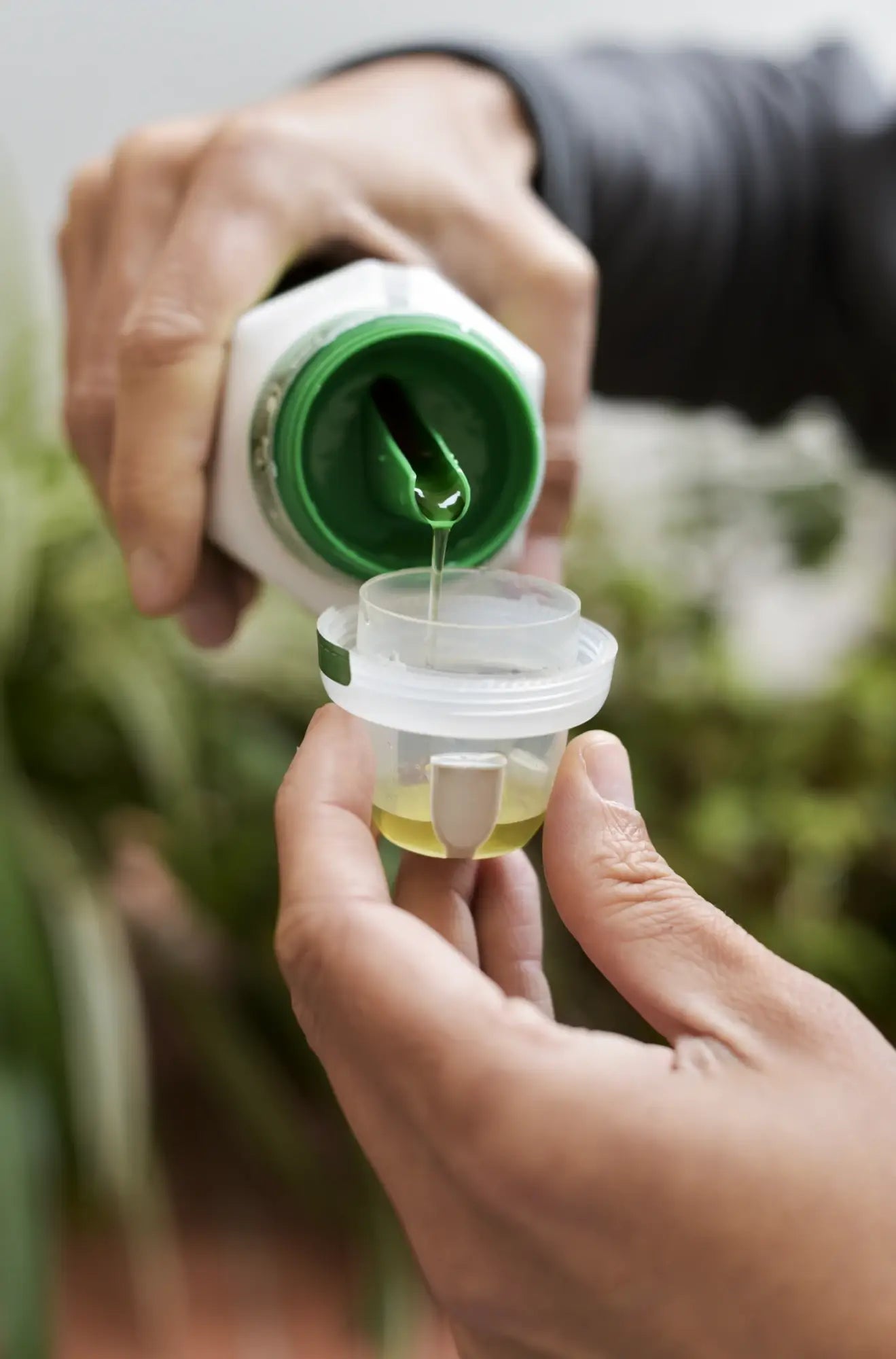 Close-up of hands measuring liquid houseplant fertilizer - Liquid fertilizer lets you control dosage and timing — ideal for semi-hydro setups and fast growers.