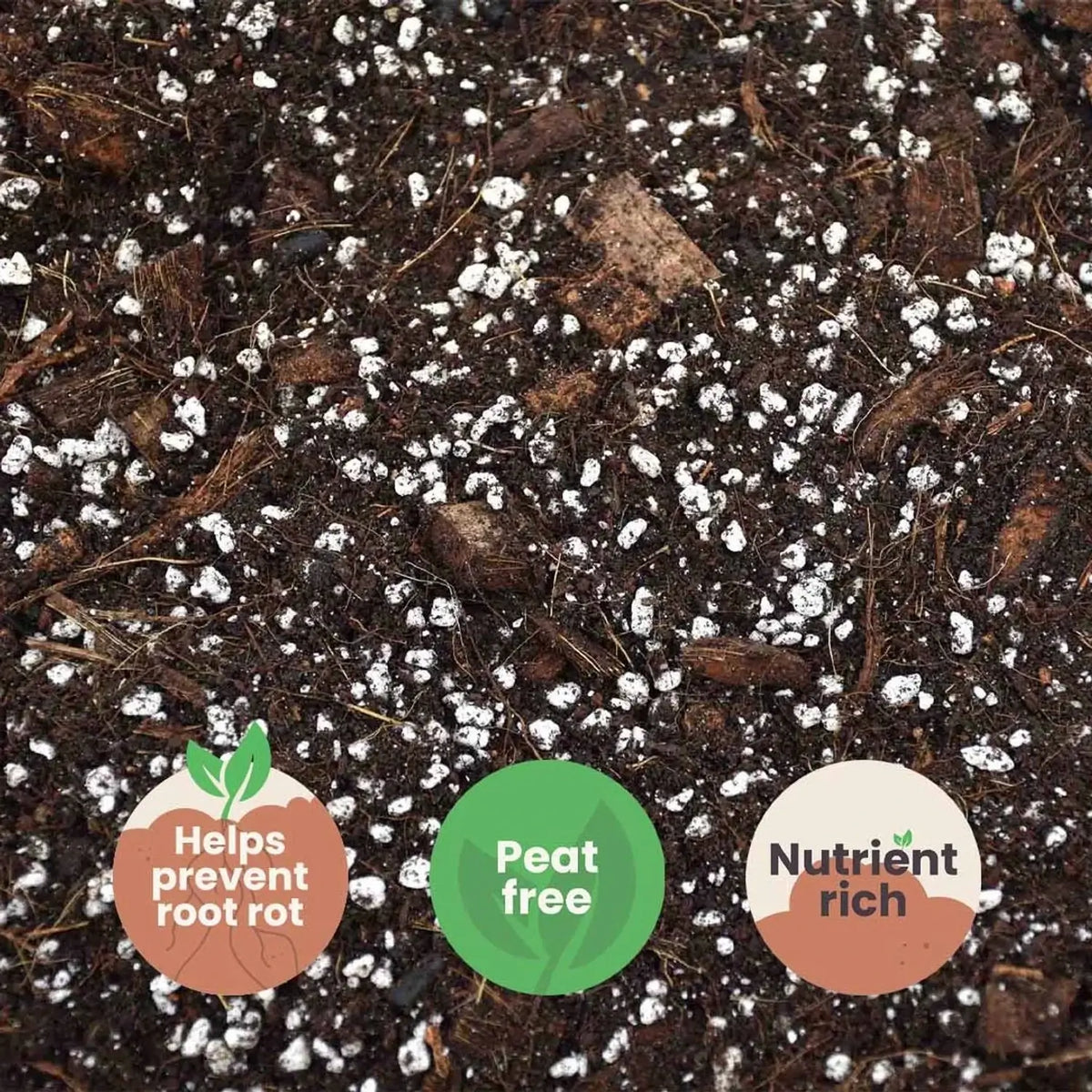 Substratmischung für Aronstabgewächse auf weißem Hintergrund, Produktfoto 8.