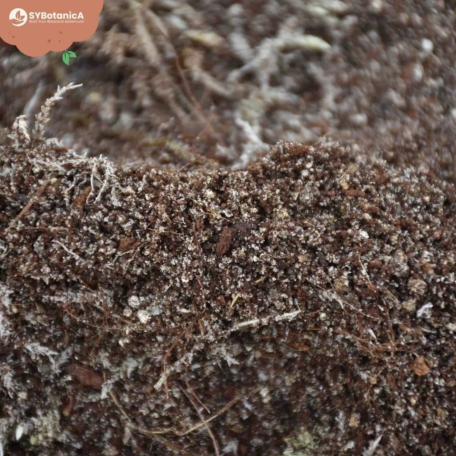 Carnivorous Plant Soil Mix on white background, product photo 8.