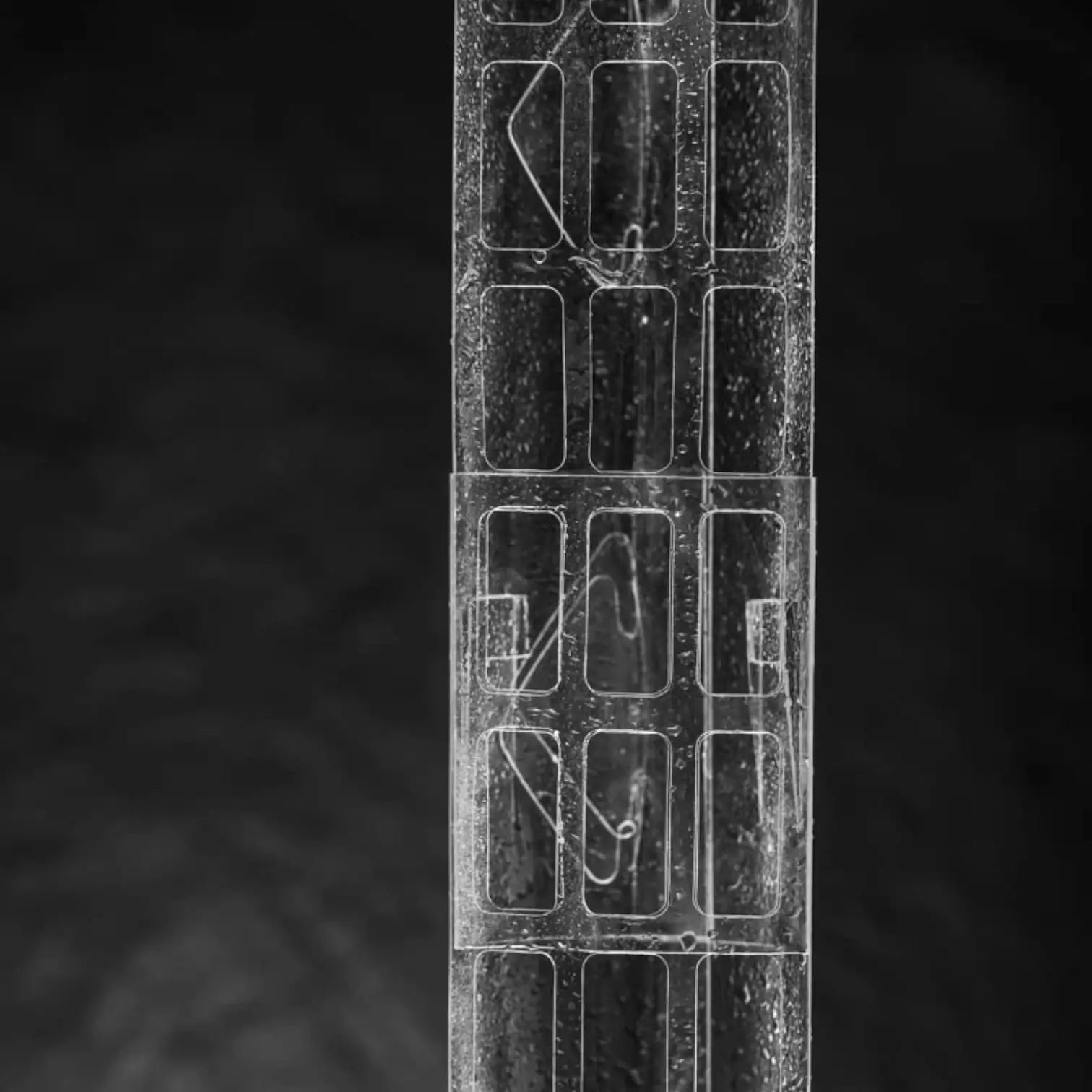 THICCLY® GrowPole™ – ultimative Pflanzenstütze auf weißem Hintergrund, Produktfoto 9.