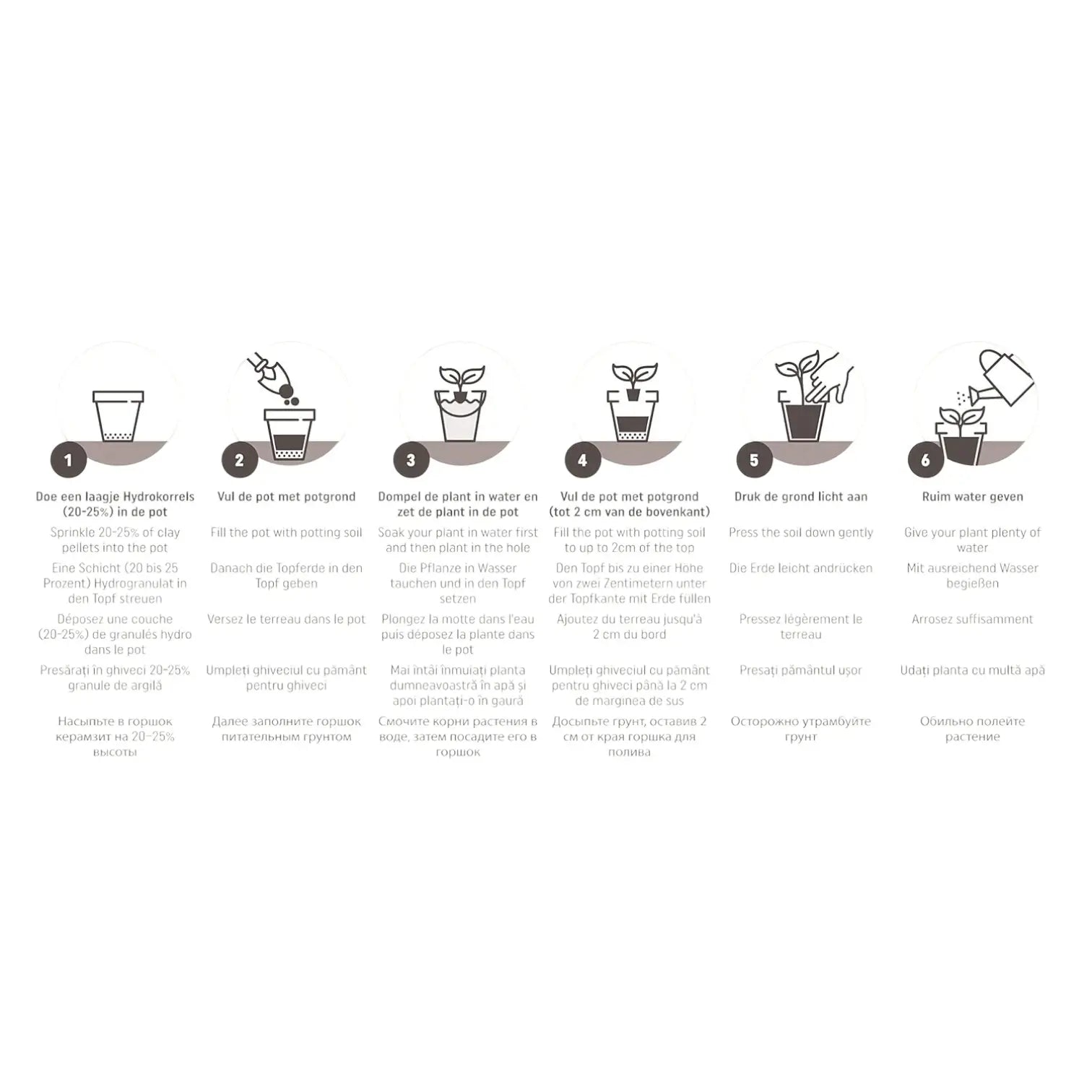 Pokon Palm Potting Soil on white background, product photo 3.