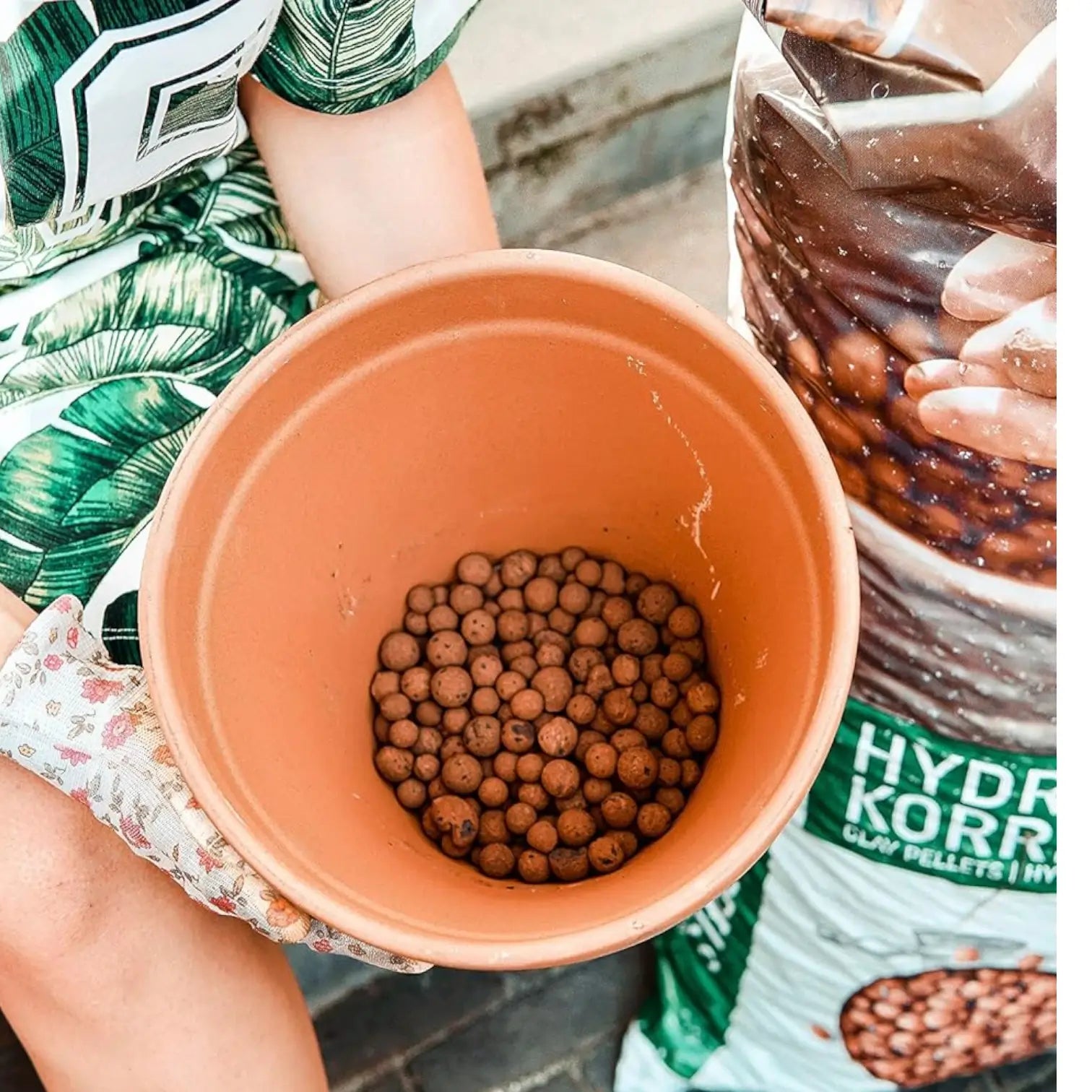 Blähton-Kugeln (LECA) Pokon vor weißem Hintergrund, Produktfoto 8.