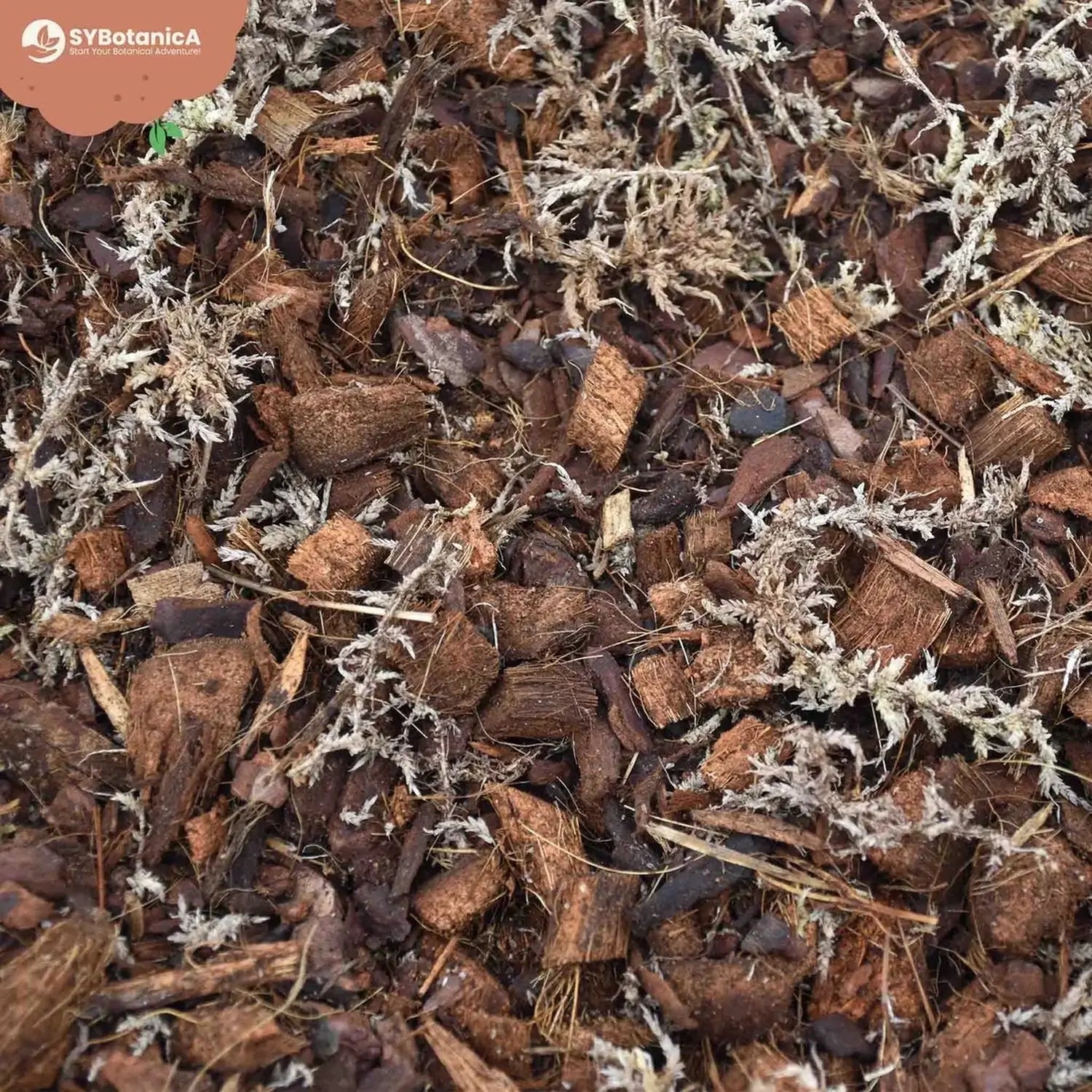 Orchid Potting Mix on white background, product photo 11.