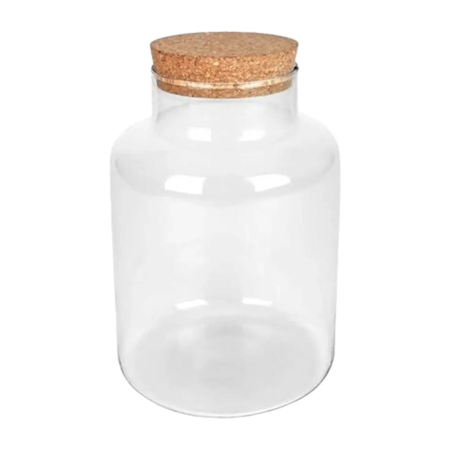 Terrarium jar 'Kampala' with cork plug main product photo on white background.