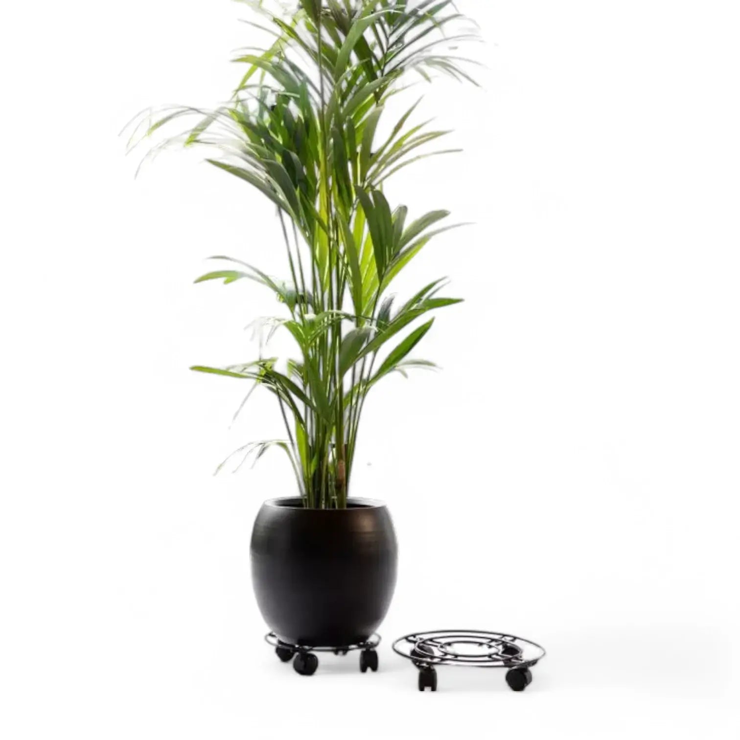 Metal Plant Trolley on white background, product photo 3.