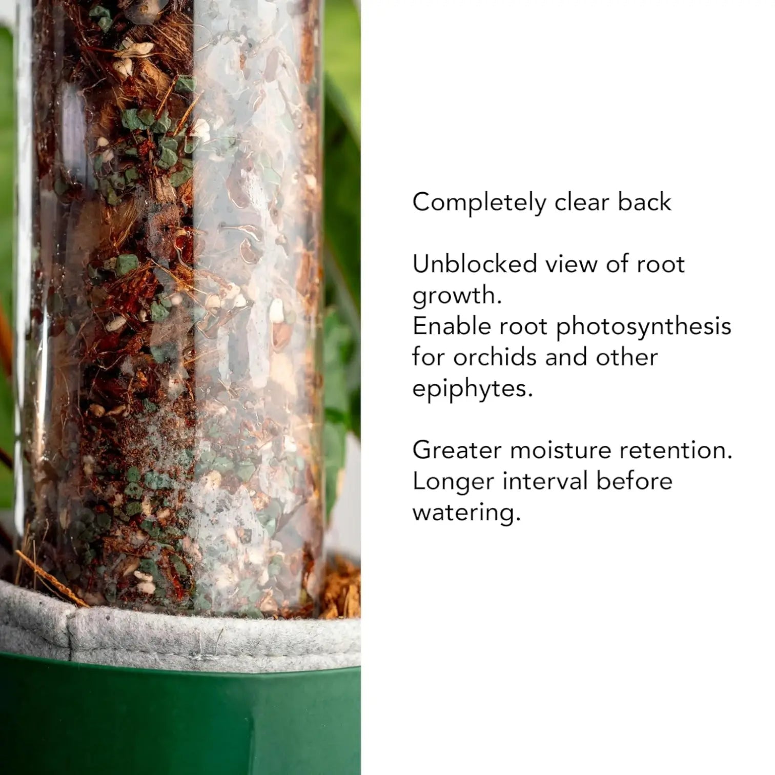 THICCLY® GrowPole™ – ultimative Pflanzenstütze auf weißem Hintergrund, Produktfoto 5.