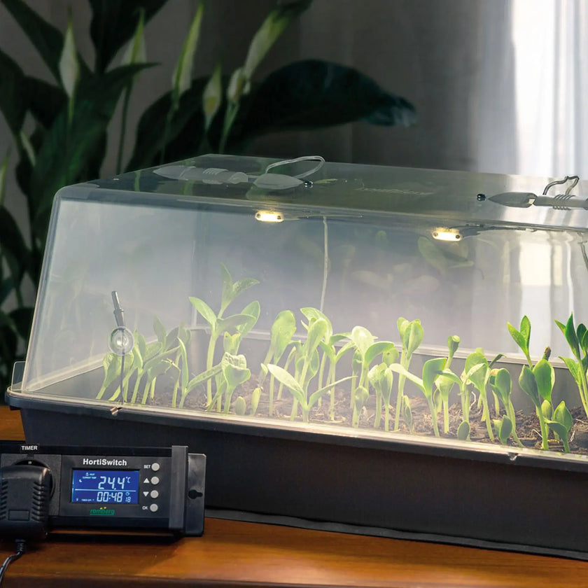 Romberg Gewächshaus Maximus Complete LED auf weißem Hintergrund, Produktfoto 2.