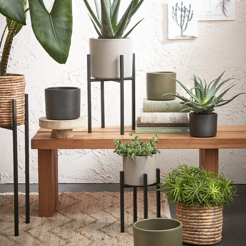 Pflanzenständer 'Ascot' – Hauptproduktfoto vor weißem Hintergrund.