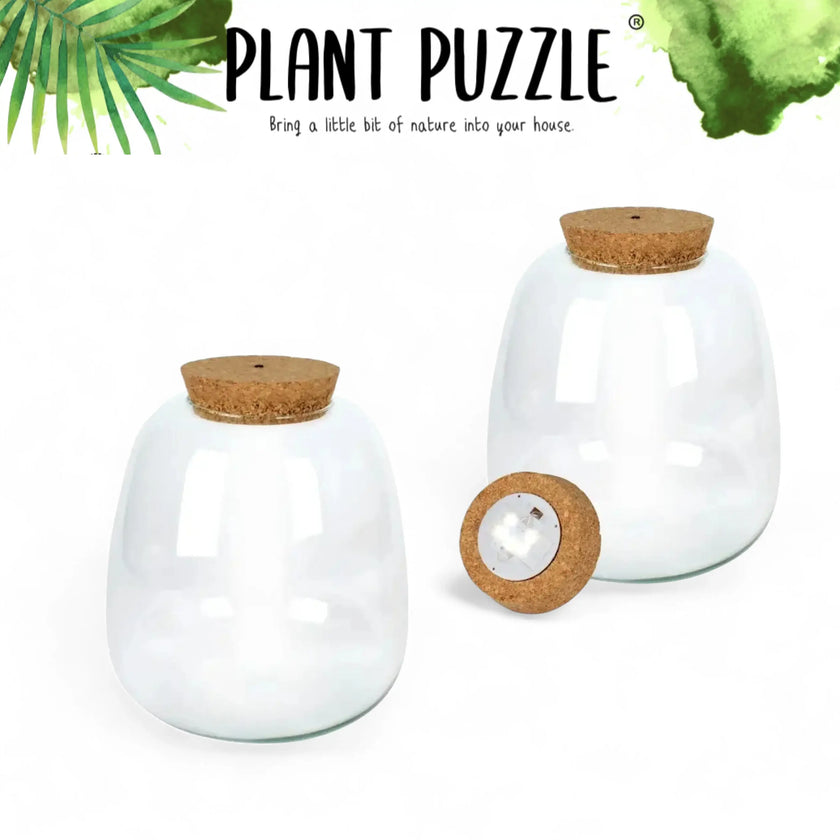 Terrariumglas 'Plant Puzzle' – Hauptproduktfoto vor weißem Hintergrund.