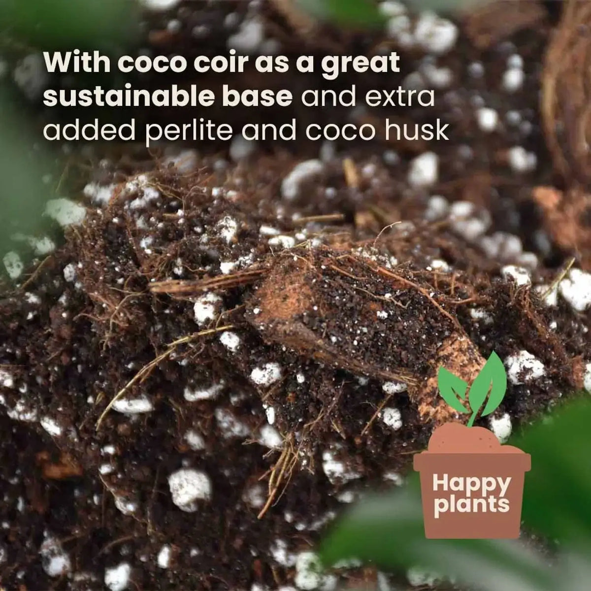 Substratmischung für Aronstabgewächse auf weißem Hintergrund, Produktfoto 4.