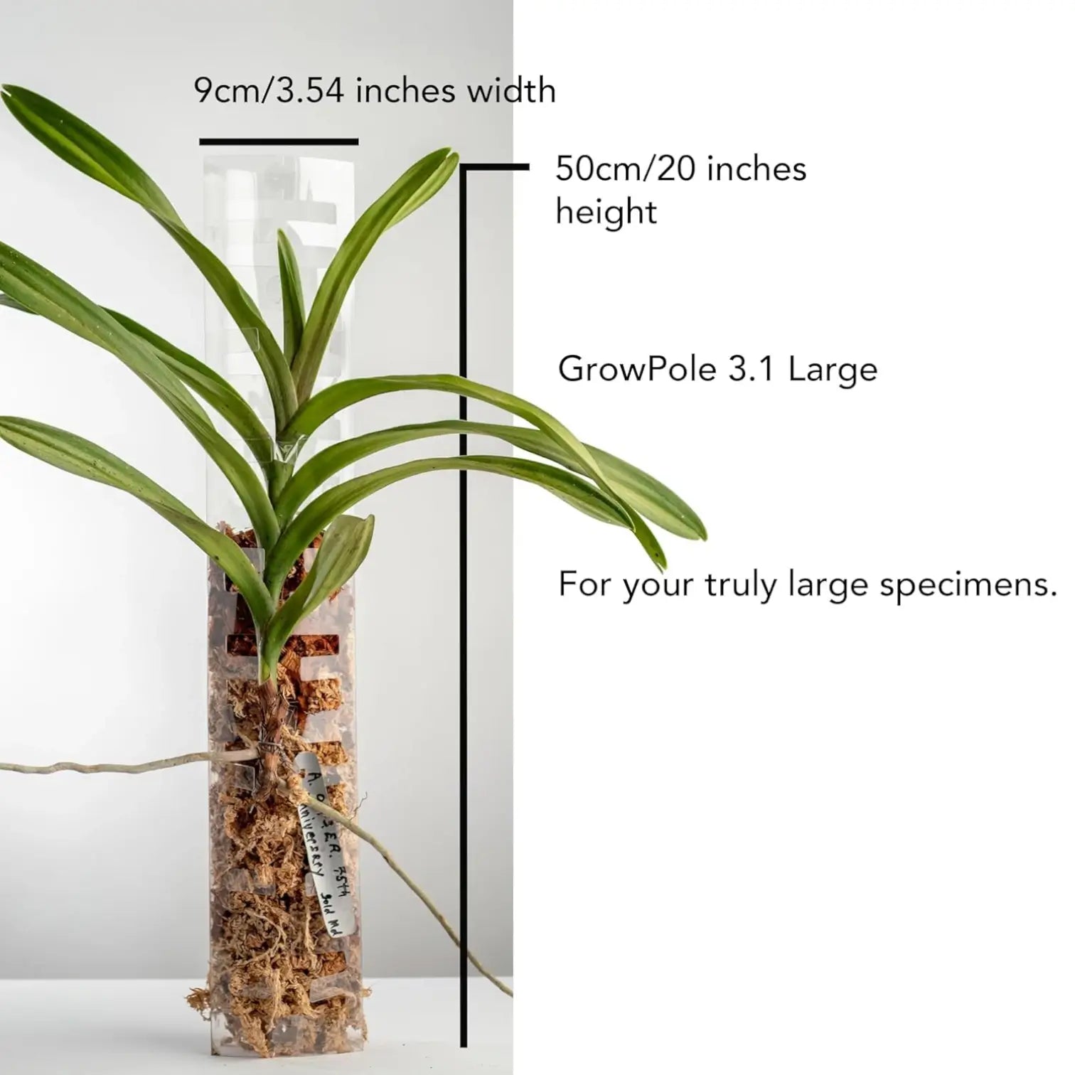 THICCLY® GrowPole™ – ultimative Pflanzenstütze auf weißem Hintergrund, Produktfoto 13.