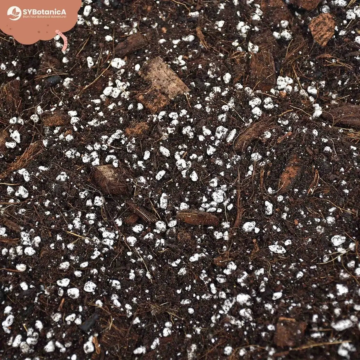 Substratmischung für Aronstabgewächse auf weißem Hintergrund, Produktfoto 9.