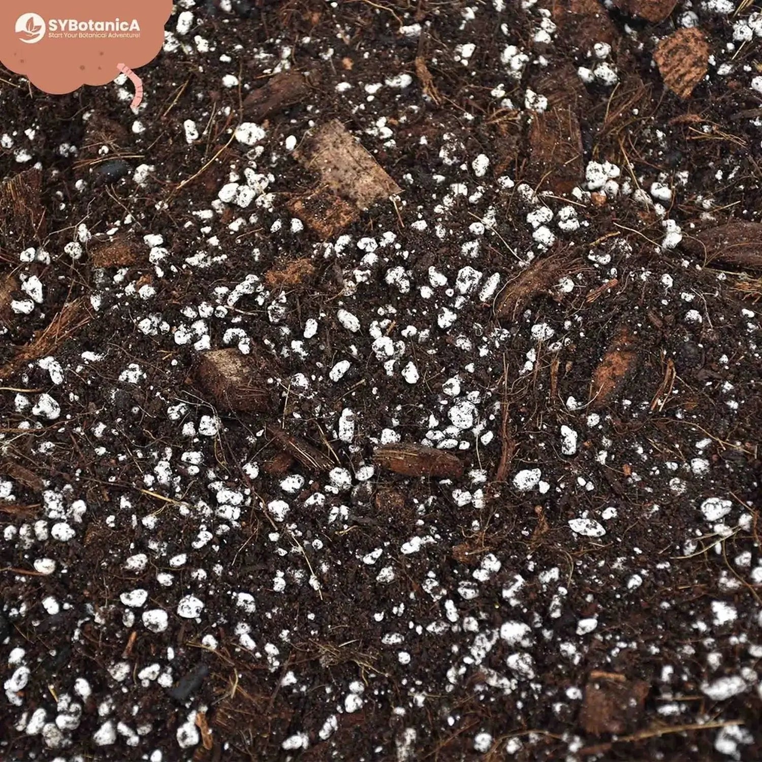 Substratmischung für Aronstabgewächse auf weißem Hintergrund, Produktfoto 9.