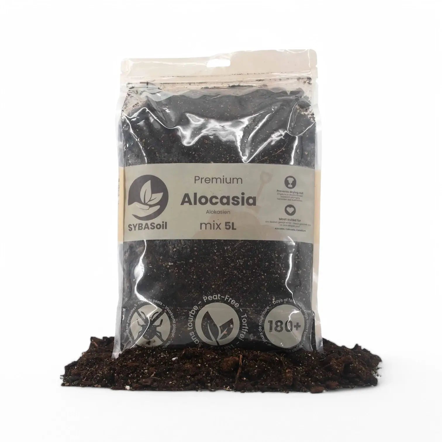 Alocasia-Pflanzsubstrat – Hauptproduktfoto vor weißem Hintergrund.