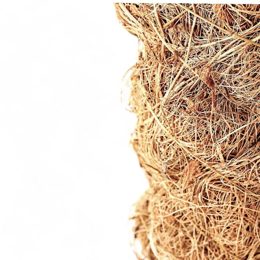 Coco Coir Poles (30–150 cm) Hauptproduktfoto vor weißem Hintergrund.