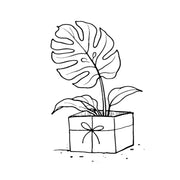 Foliage Factory Geschenkgutschein – Illustration einer Topfpflanze in einer Geschenkbox