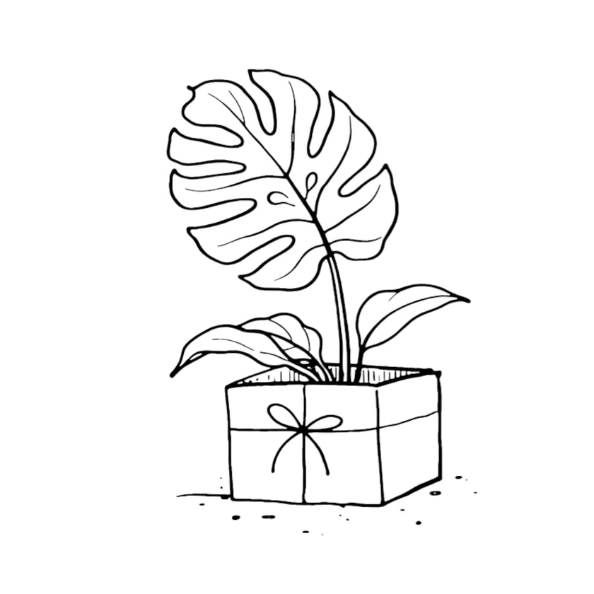 Foliage Factory Geschenkgutschein – Illustration einer Topfpflanze in einer Geschenkbox