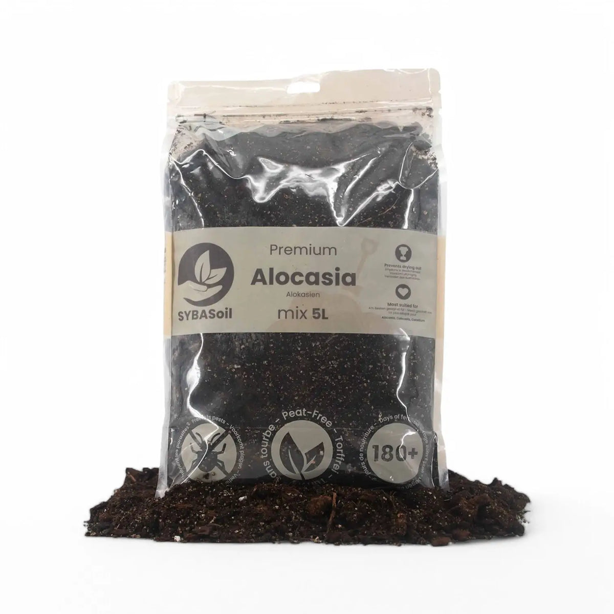 Alocasia-Pflanzsubstrat – Hauptproduktfoto vor weißem Hintergrund.