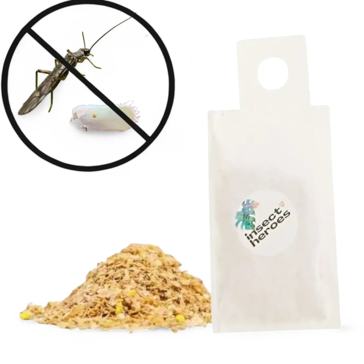Amblyseius swirskii – Biological Control for Thrips & Whiteflies main product photo on white background.