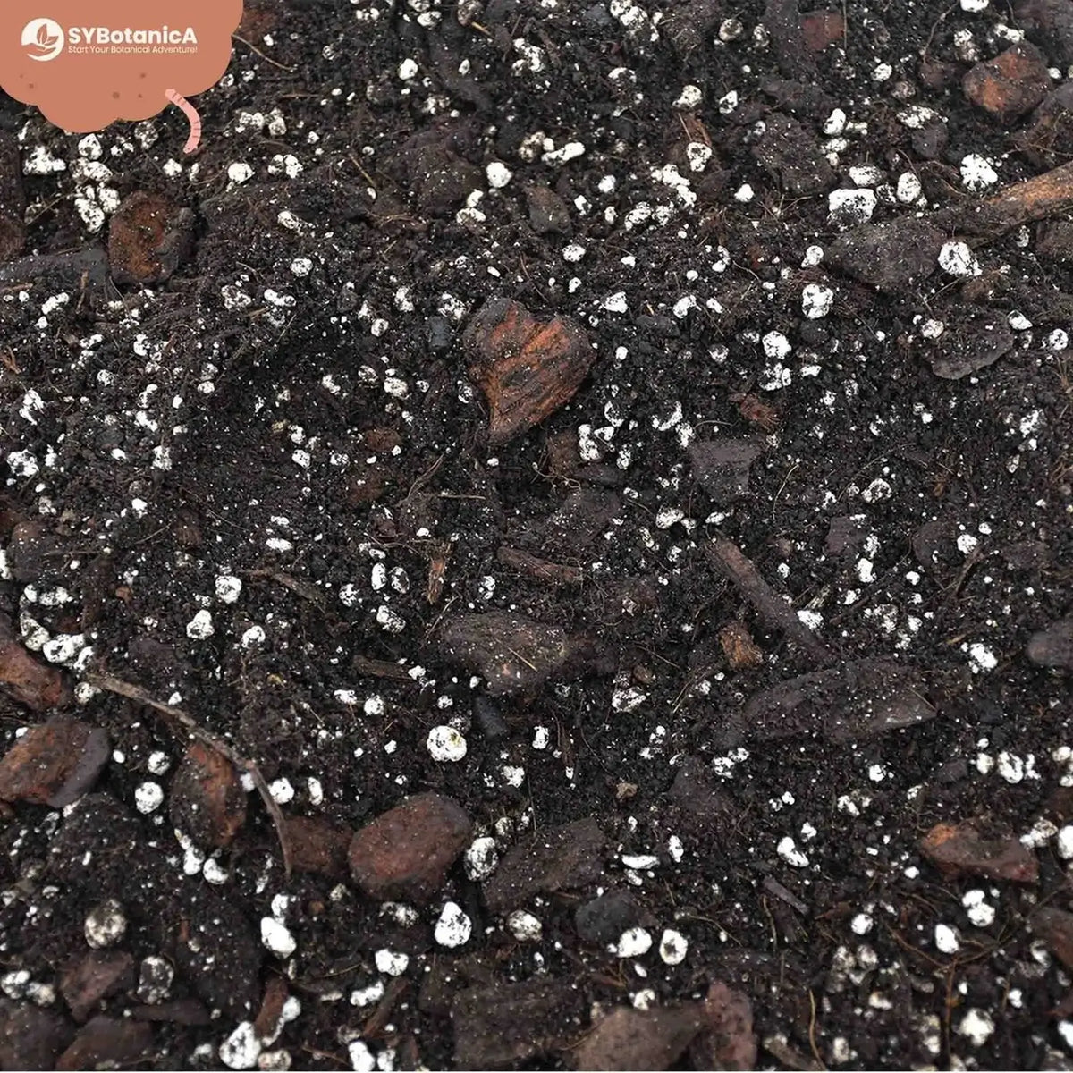 Anthurium Soil Mix on white background.