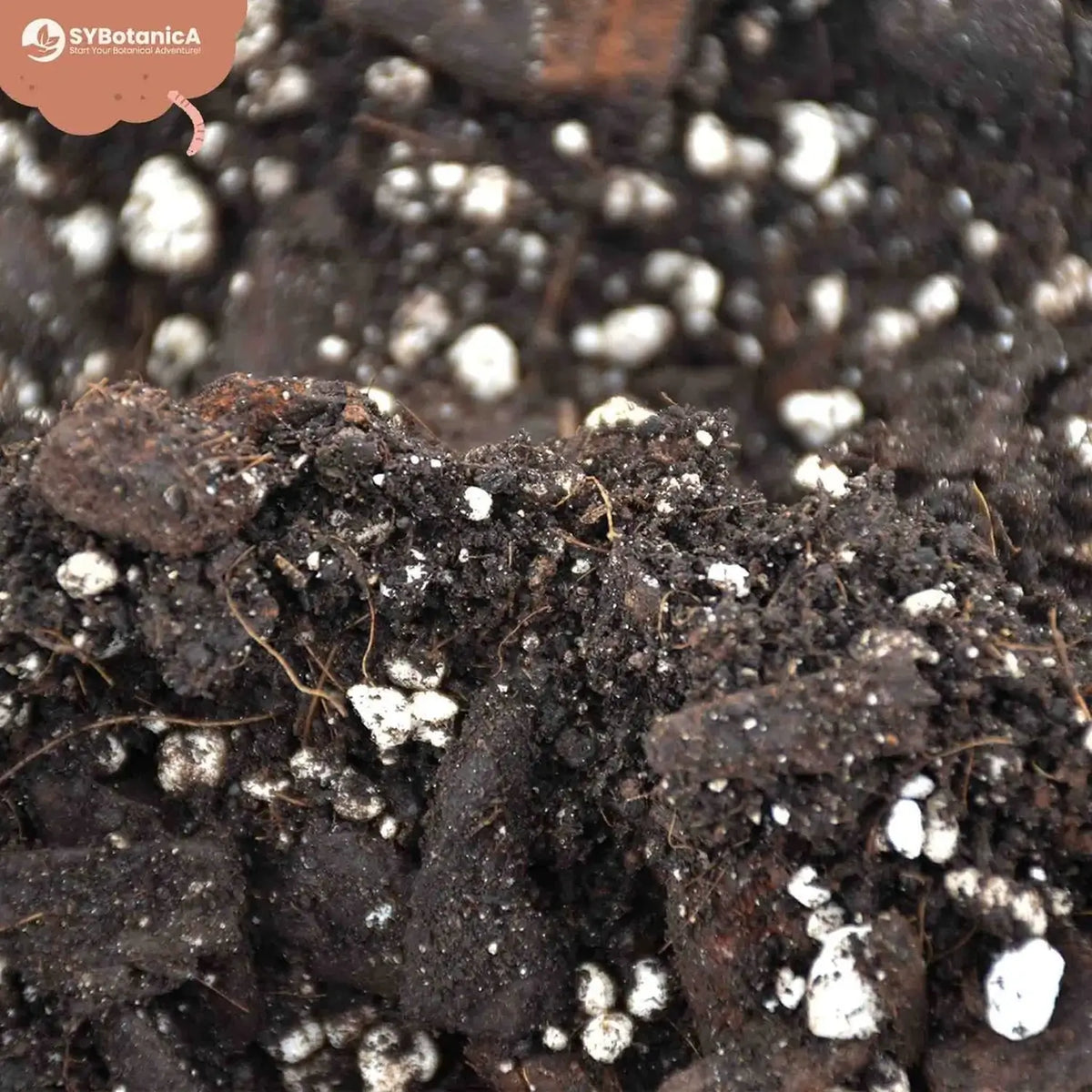 Anthurium Soil Mix on white background.