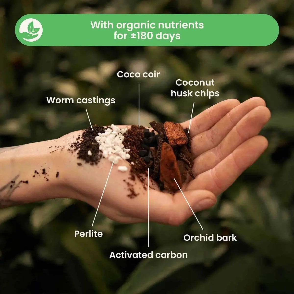 Anthurium Soil Mix on white background.