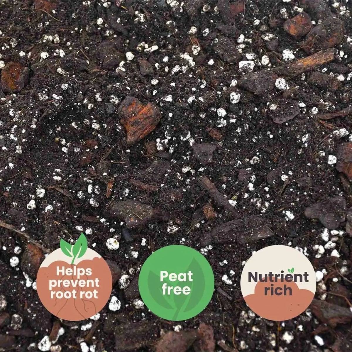 Anthurium Soil Mix on white background.