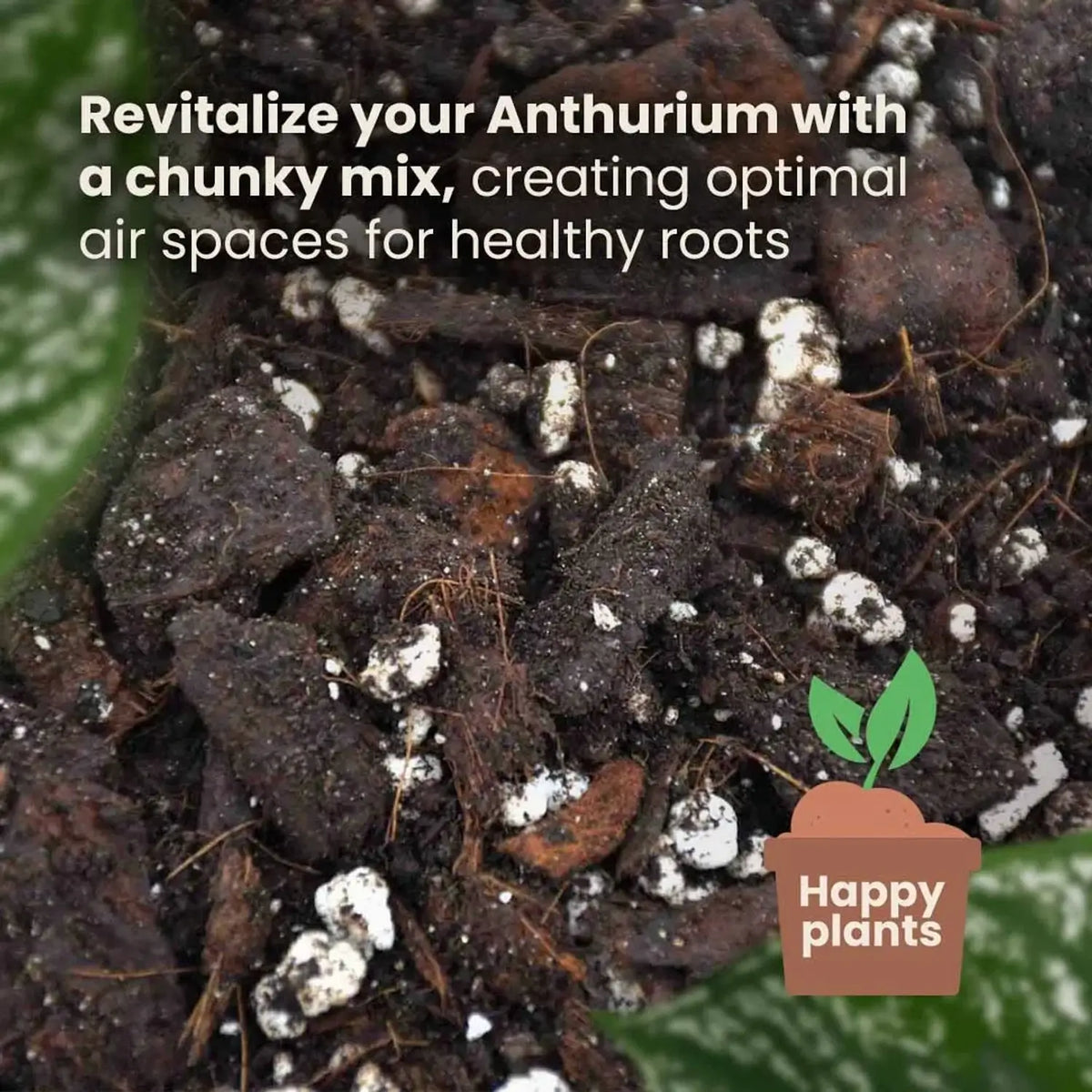 Anthurium Soil Mix on white background.