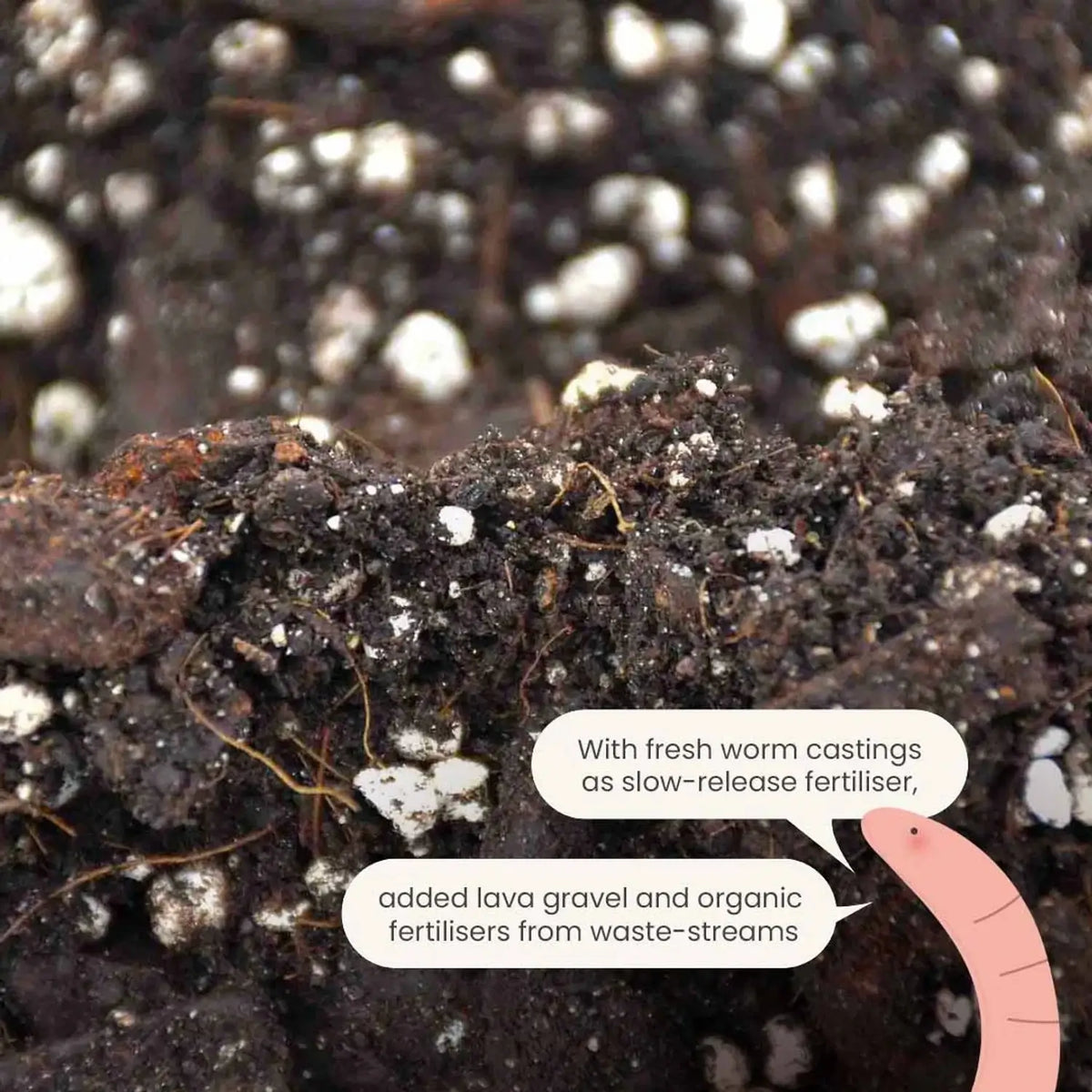 Anthurium Soil Mix on white background.