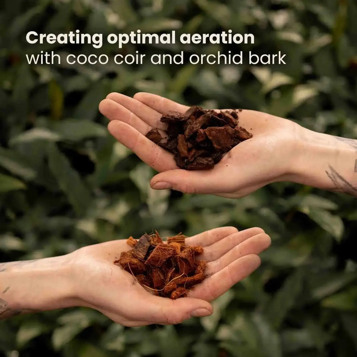 Anthurium Soil Mix on white background.