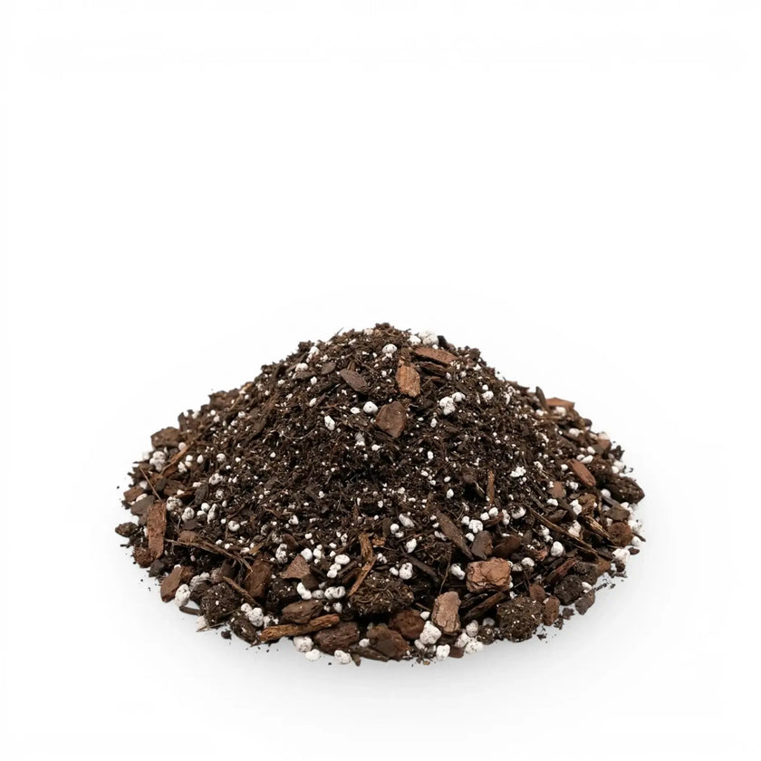 Heap of Anthurium potting mix on a white background