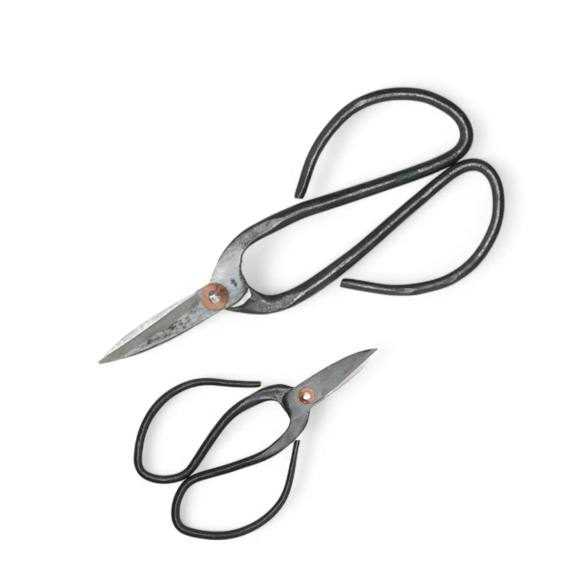 Bonsai pruning scissors on white background.