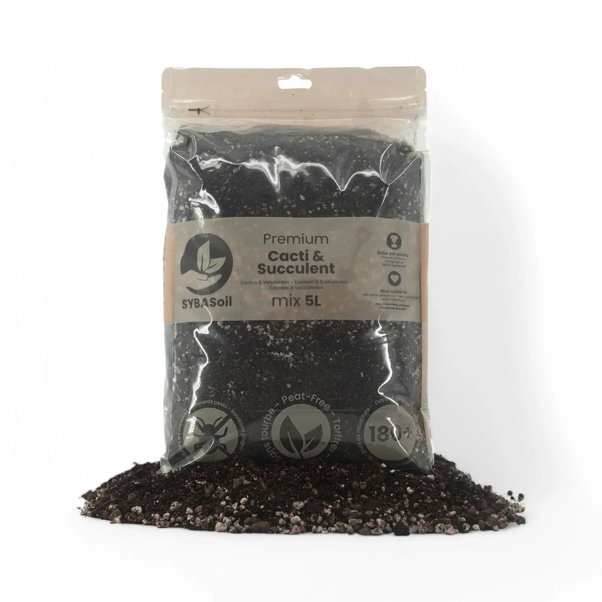 Kakteen- & Sukkulenten-Substratmischung – Haupt-Produktfoto auf weißem Hintergrund.