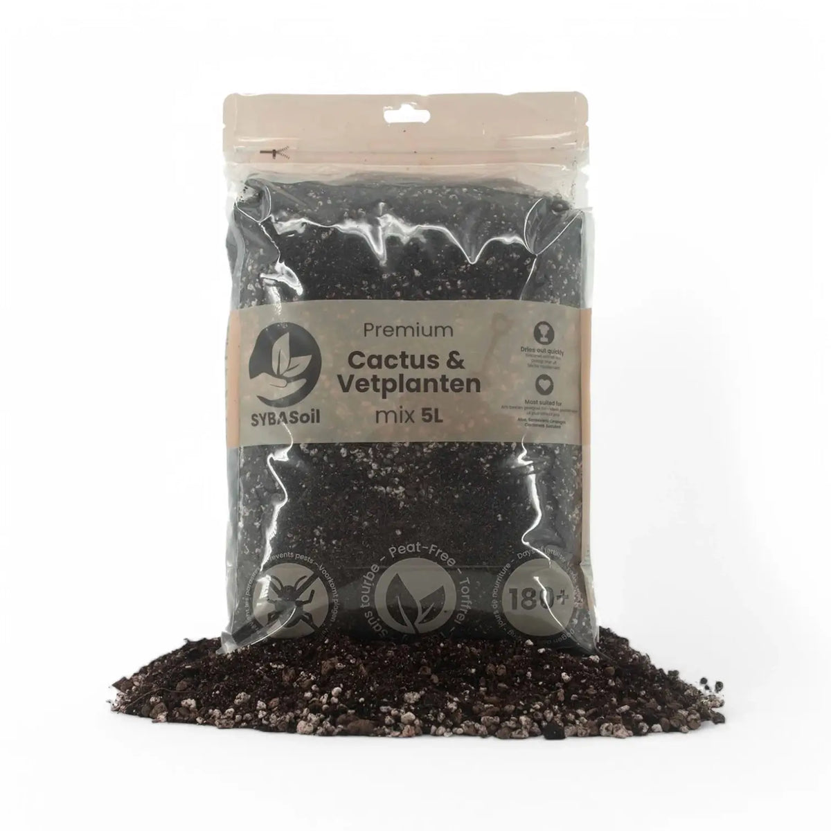 Kakteen- & Sukkulenten-Substratmischung auf weißem Hintergrund, Produktfoto 13.