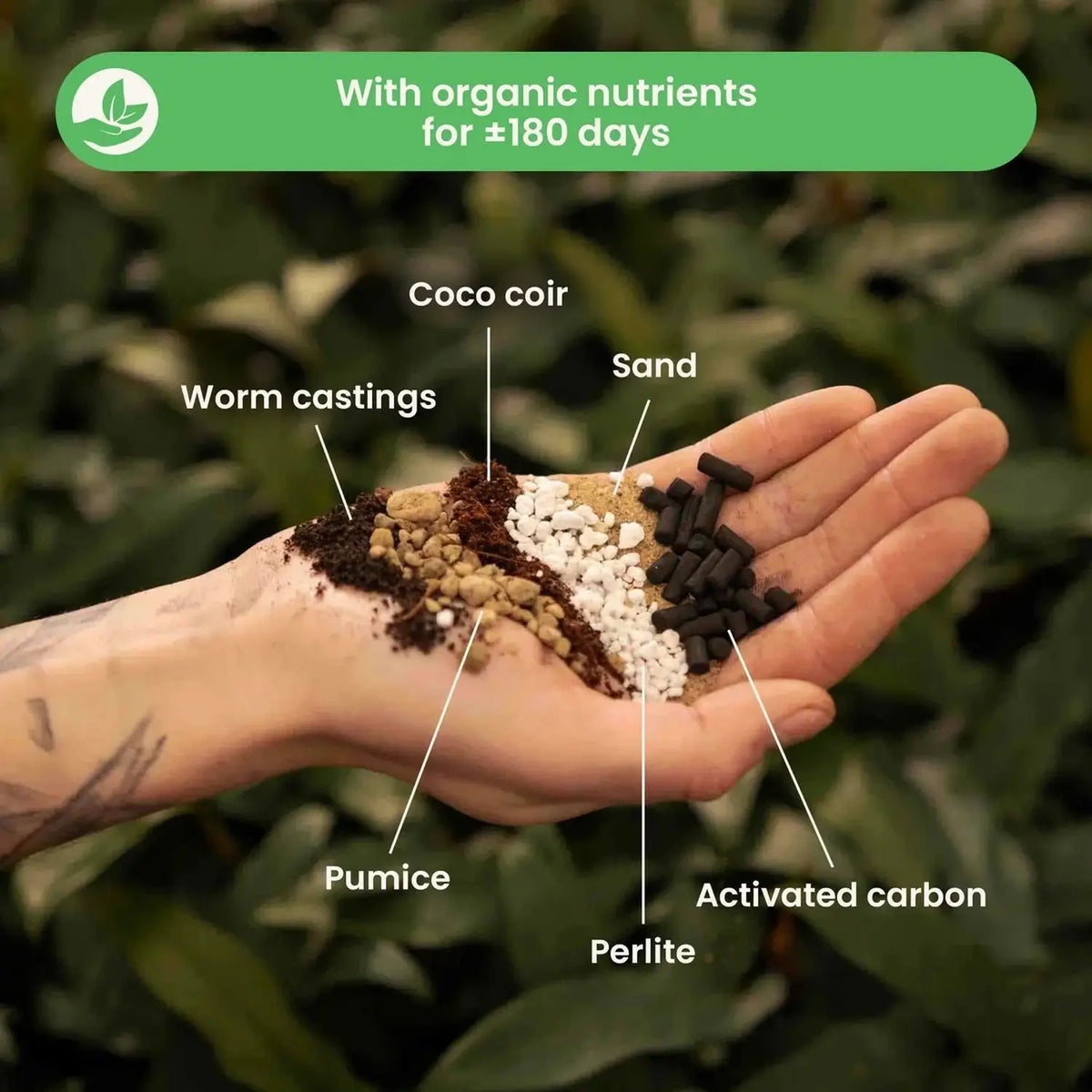 Kakteen- & Sukkulenten-Substratmischung auf weißem Hintergrund, Produktfoto 3.