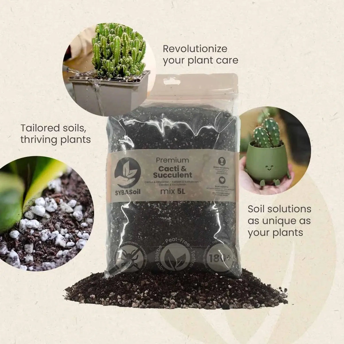 Kakteen- & Sukkulenten-Substratmischung auf weißem Hintergrund, Produktfoto 5.