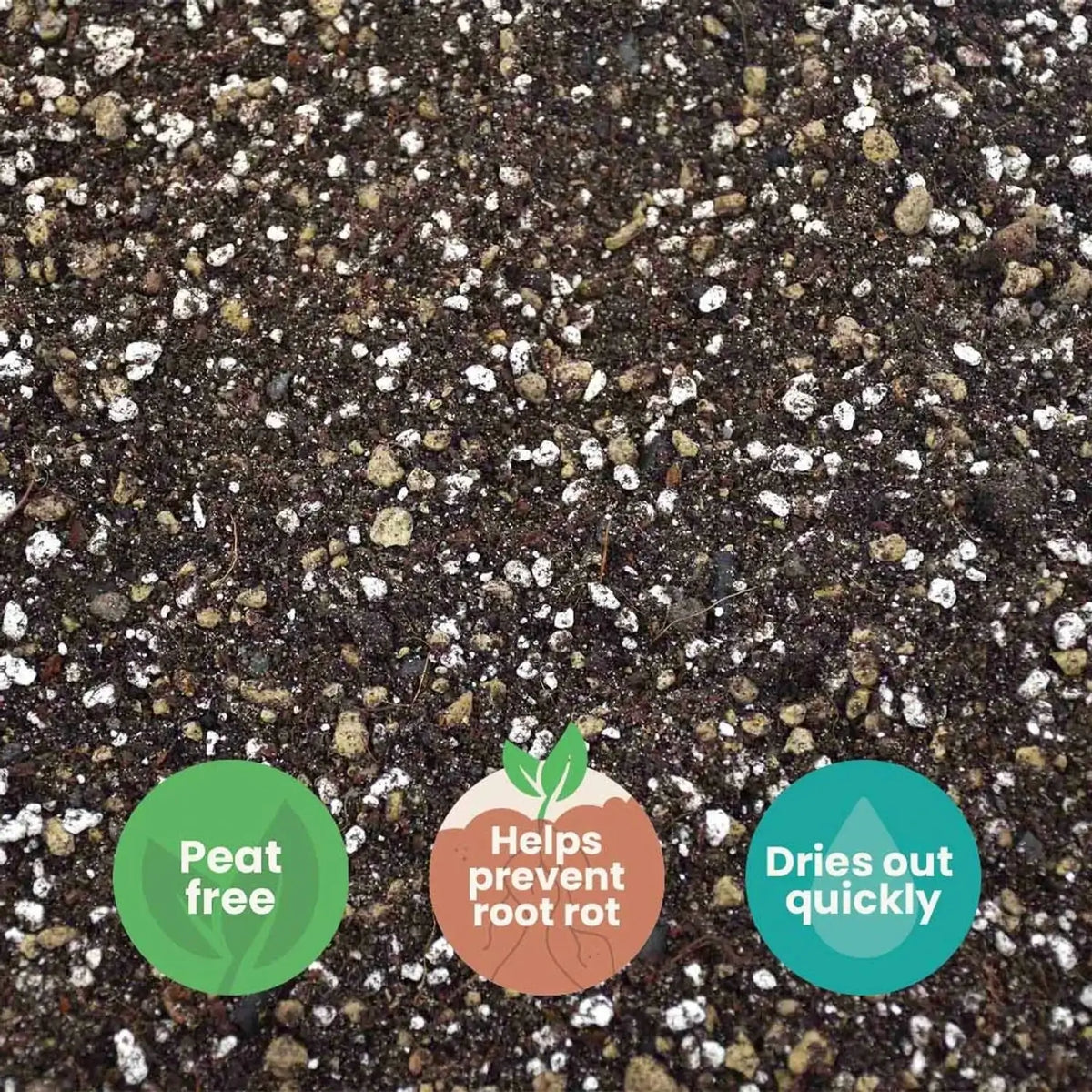 Kakteen- & Sukkulenten-Substratmischung auf weißem Hintergrund, Produktfoto 8.