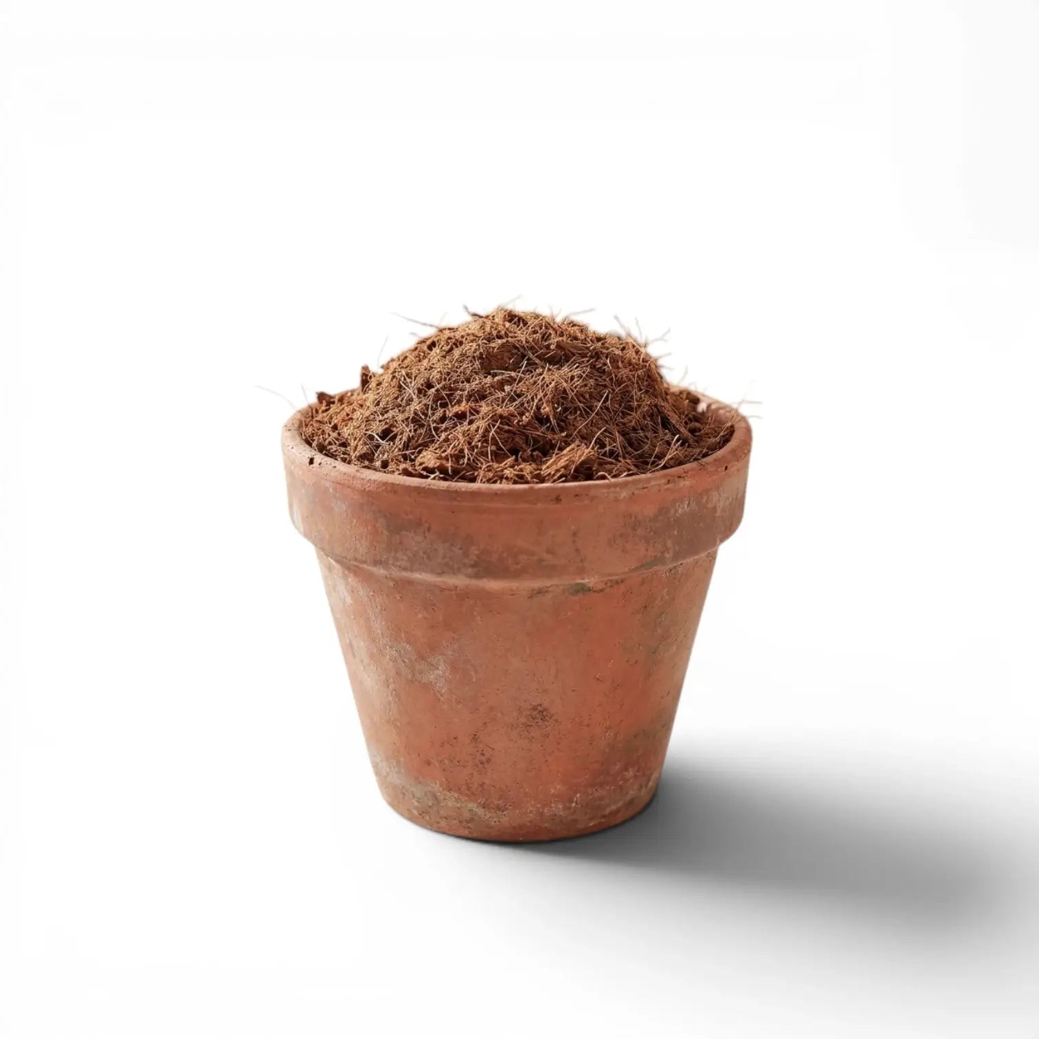 Terracotta pot with coconut coir on a white background