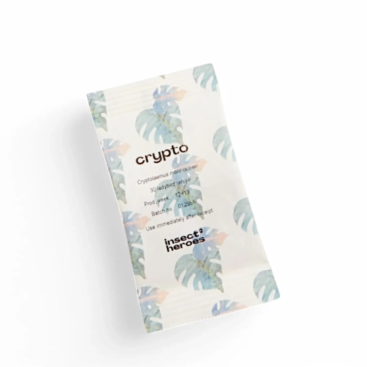 Cryptolaemus montrouzieri gegen Wollläuse vor weißem Hintergrund, Produktfoto 3.