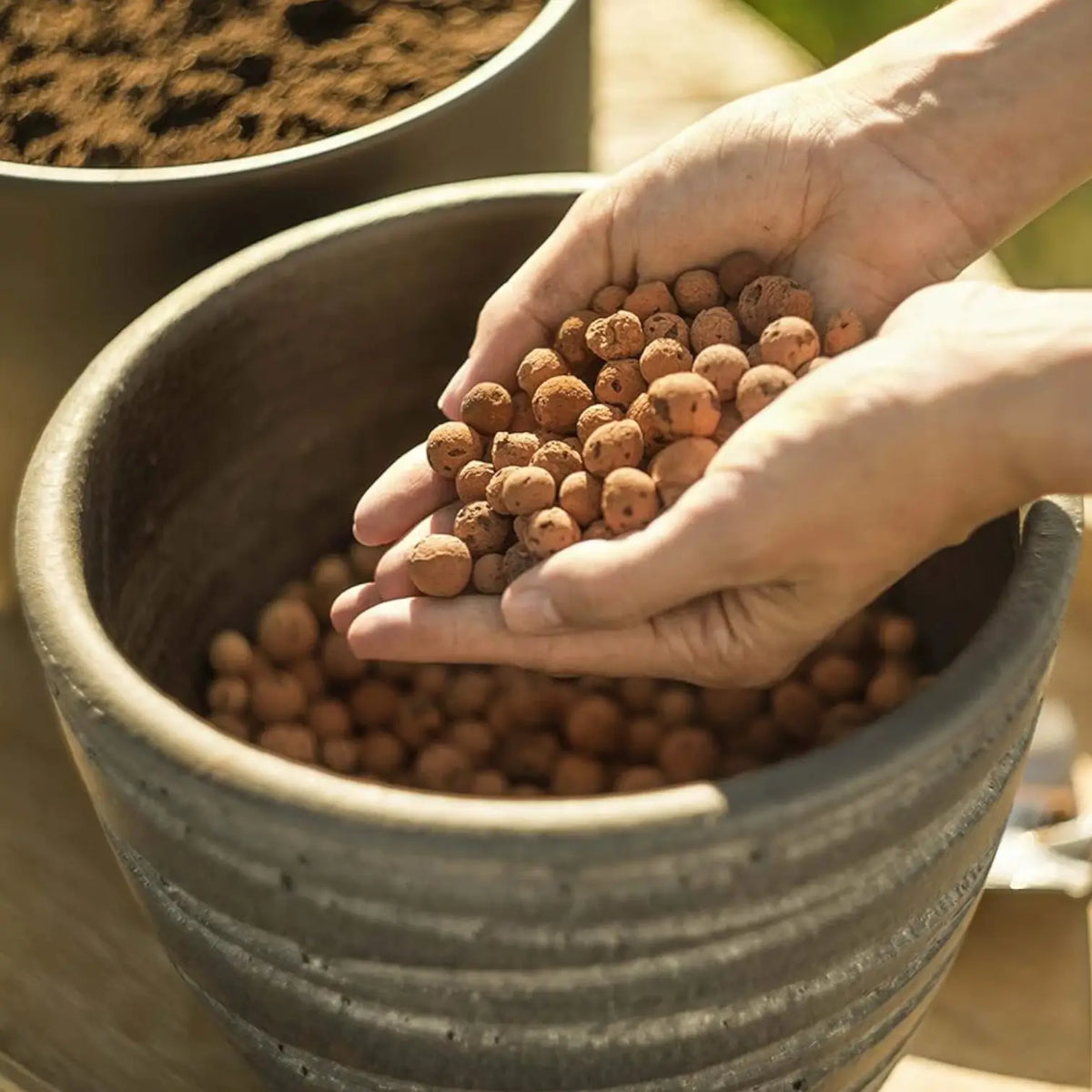 Expanded Clay Balls (LECA) Pokon on white background.