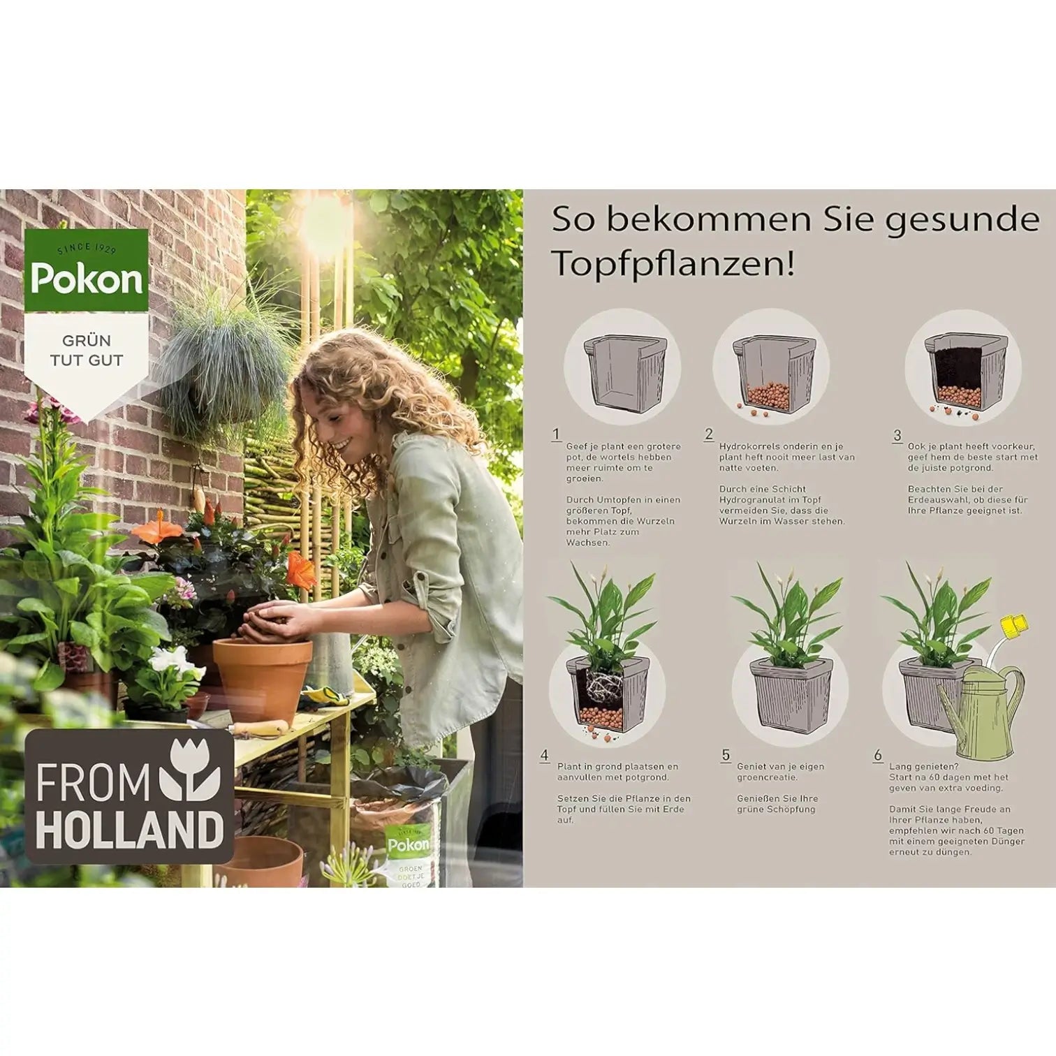 Blähton-Kugeln (LECA) Pokon vor weißem Hintergrund, Produktfoto 15.