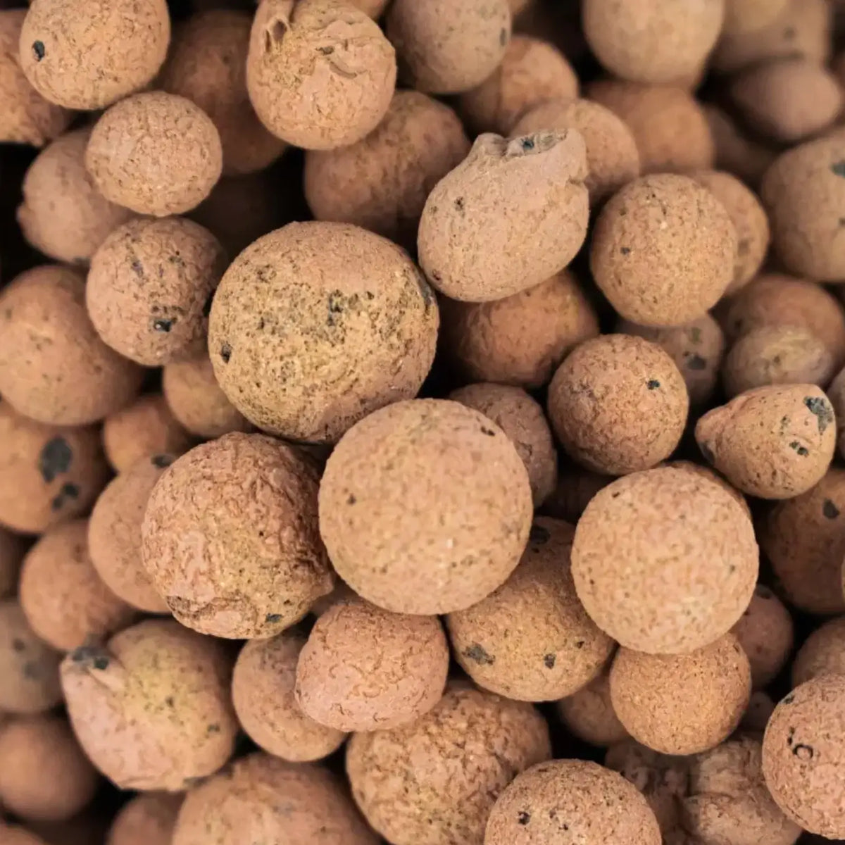 Expanded Clay Balls (LECA) Pokon on white background.