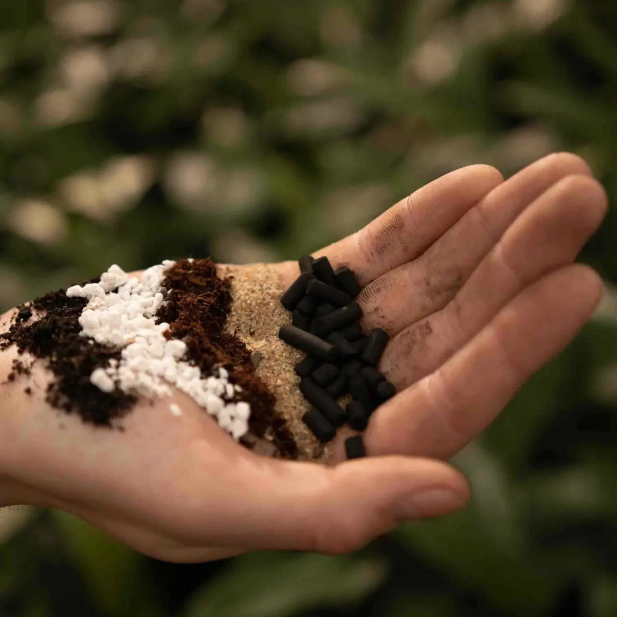Fern Soil Mix on white background.