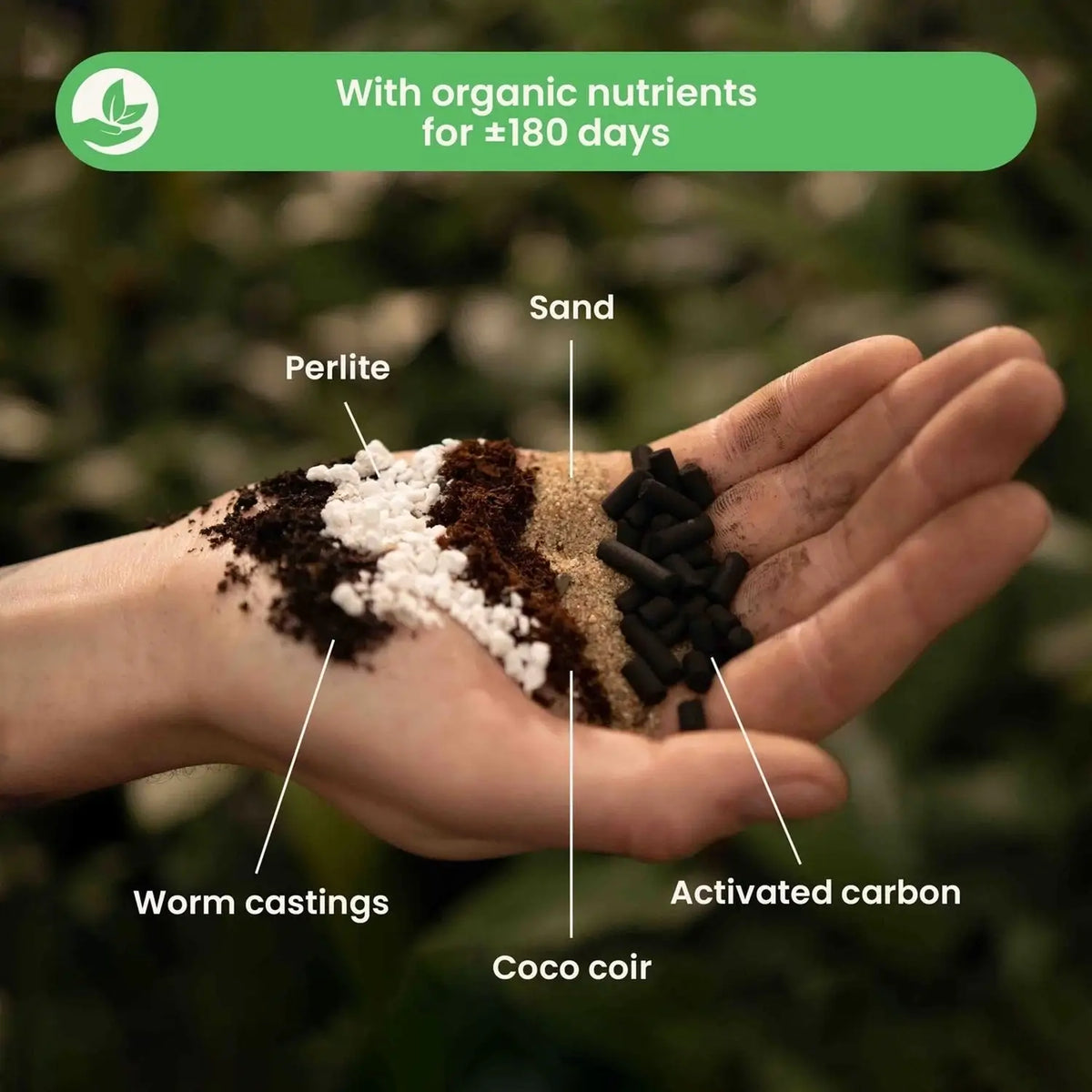 Fern Soil Mix on white background.