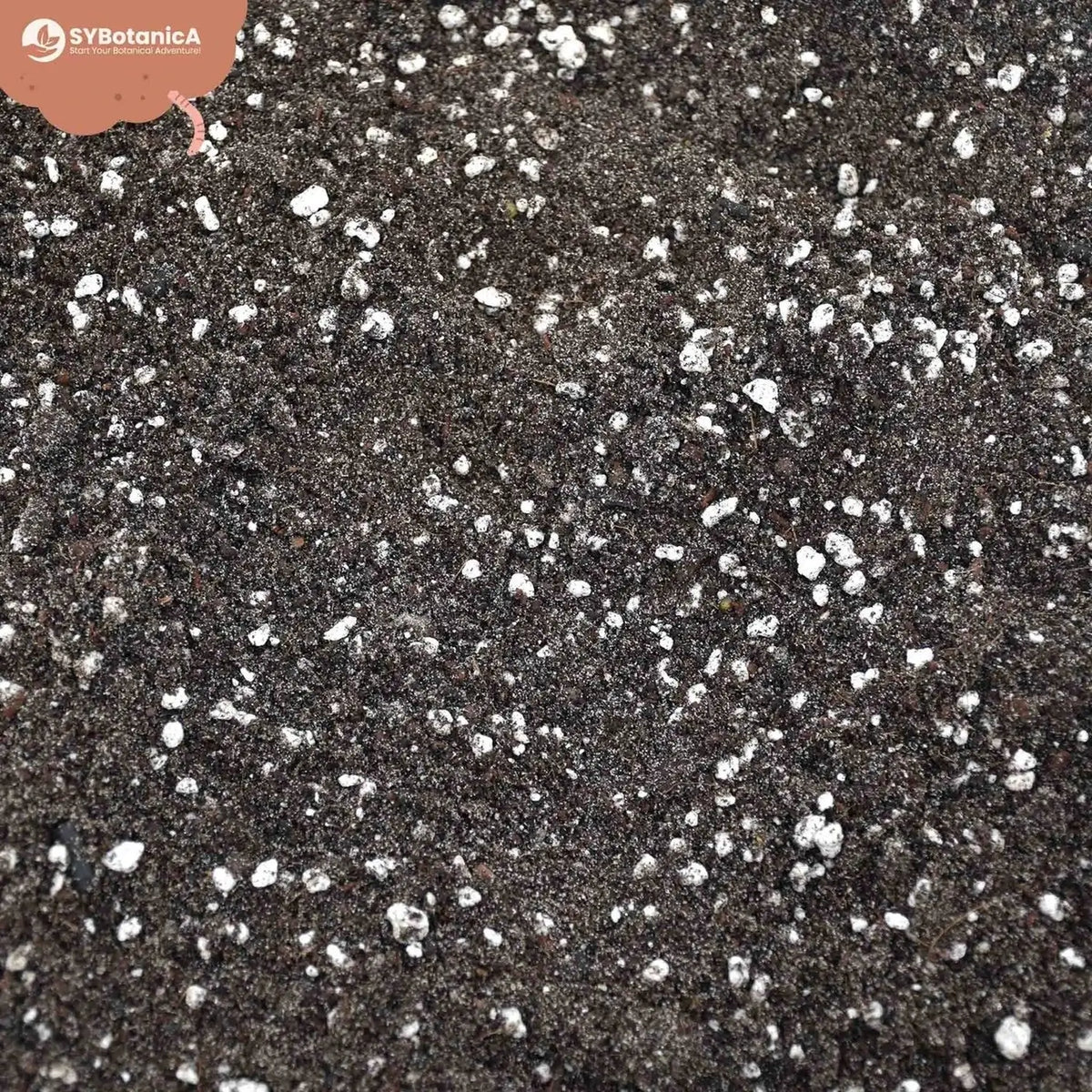 Fern Soil Mix on white background.