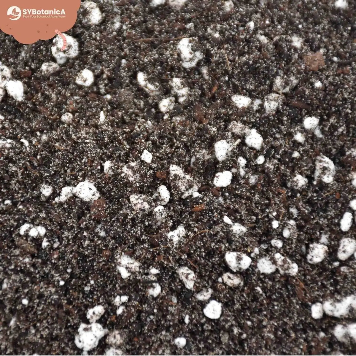 Fern Soil Mix on white background.